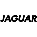 logo_jaguar.jpg